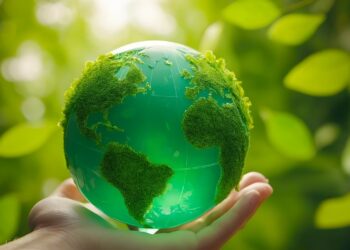 Państwo za mało robi na rzecz poprawy klimatu? Możesz się na nie poskarżyć
