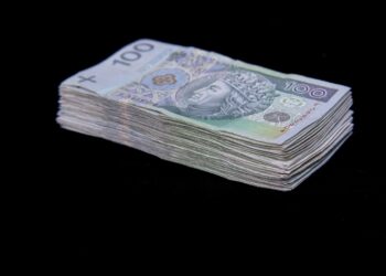 Państwo szuka oszczędności. Będzie kryterium dochodowe w 800 plus?