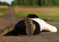 Znów doszło do tragicznego wypadku i znów mówi się o sądzeniu szalonych kierowców jak zabójców