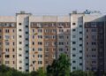 Firmy będą miały problem. Przez rozporządzenie o wylesianiu