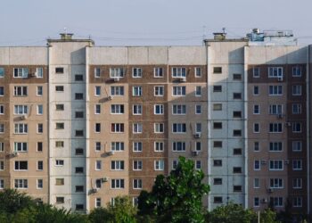 Firmy będą miały problem. Przez rozporządzenie o wylesianiu