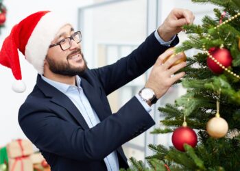 Za ile można kupić choinkę? Warto skorzystać z oferty nadleśnictwa